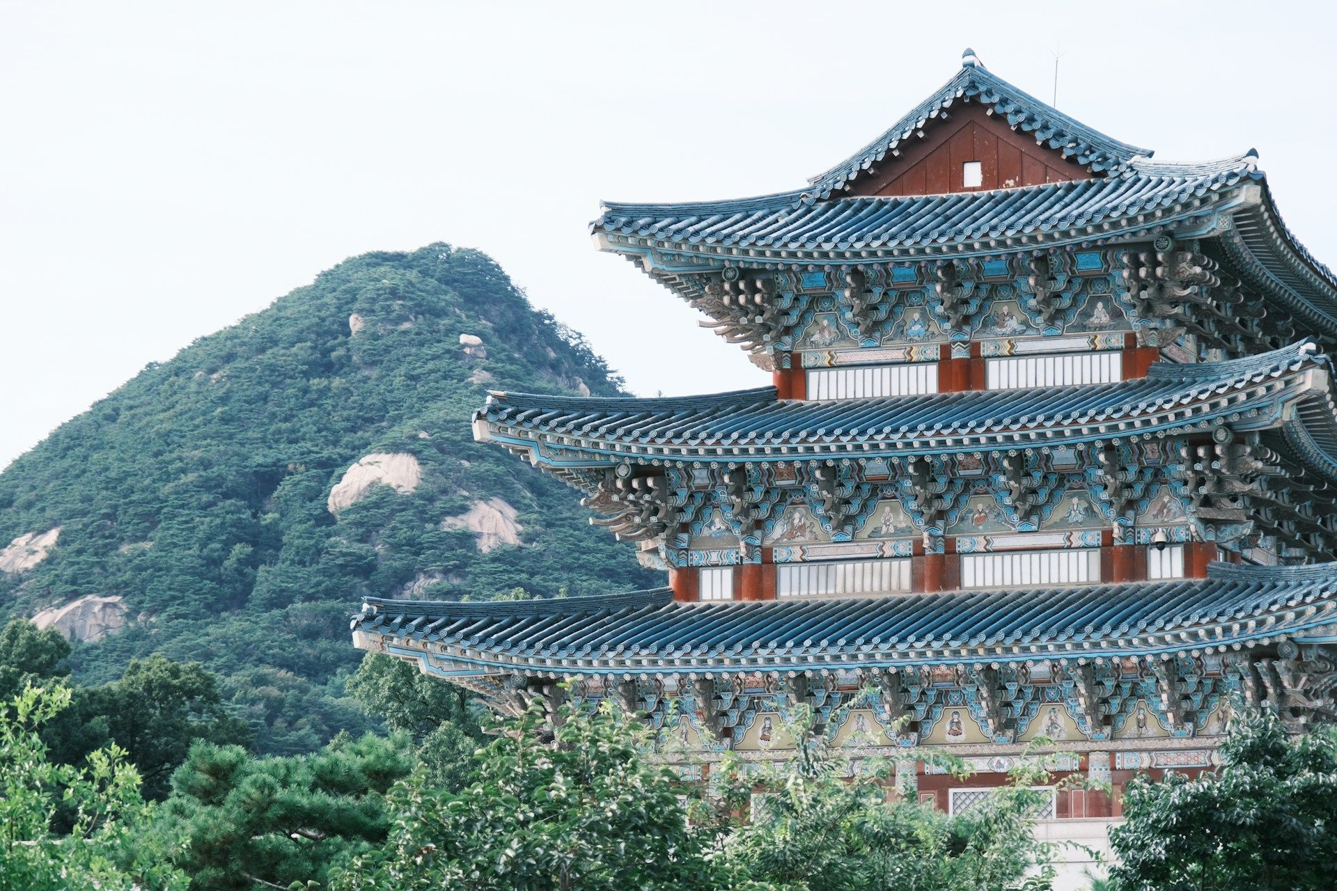Affordable Business Class Flights to Seoul in 2025