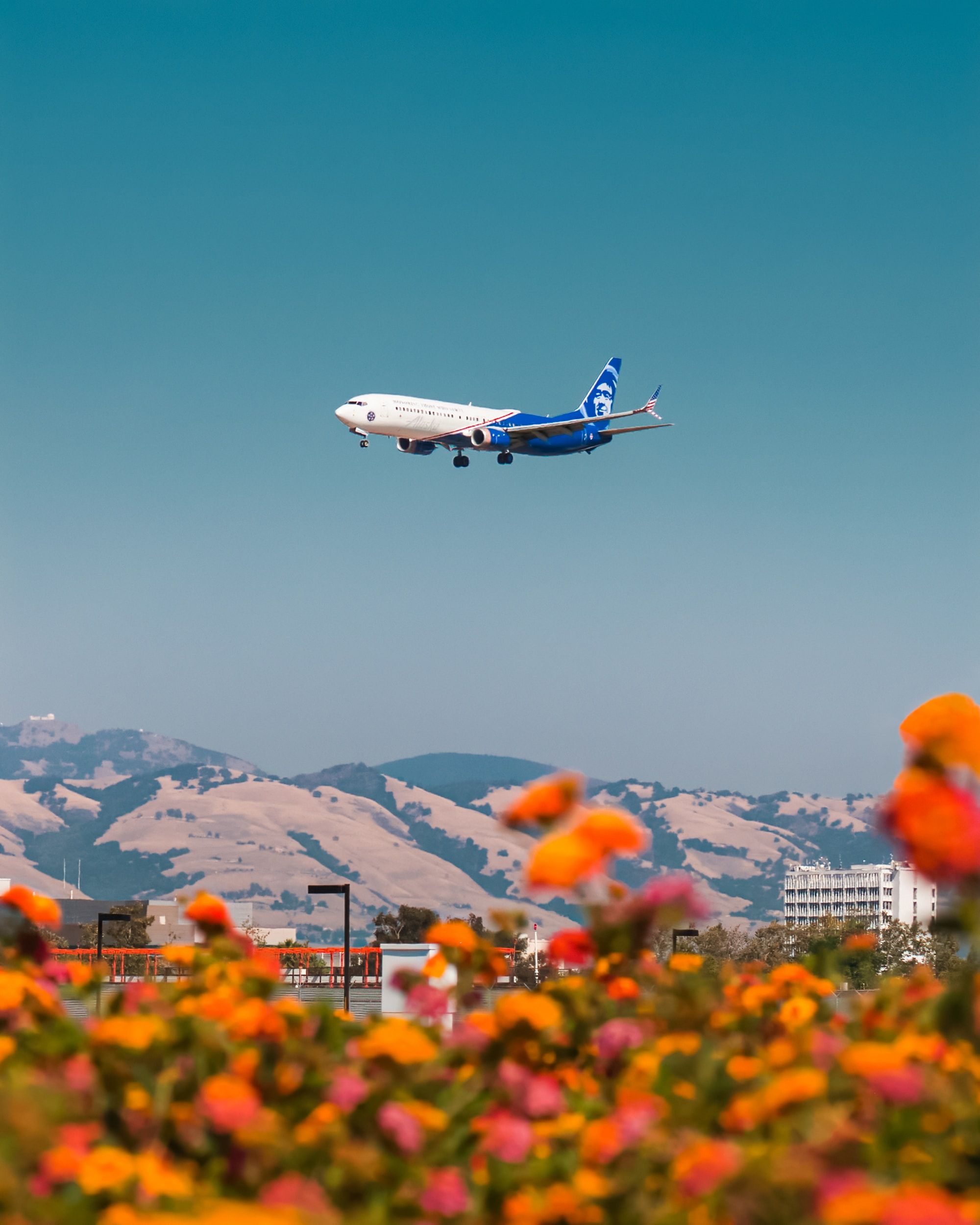 Unlock Adventure: Unleash The Power Of Alaska Mileage Plus
