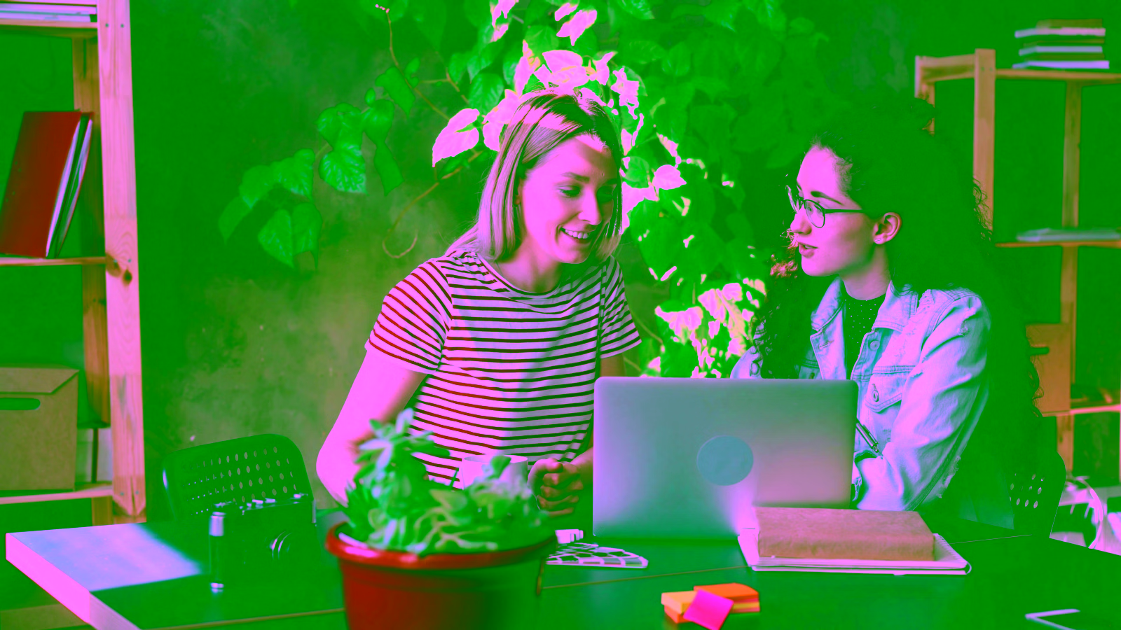 Two women collaborating while working on a laptop