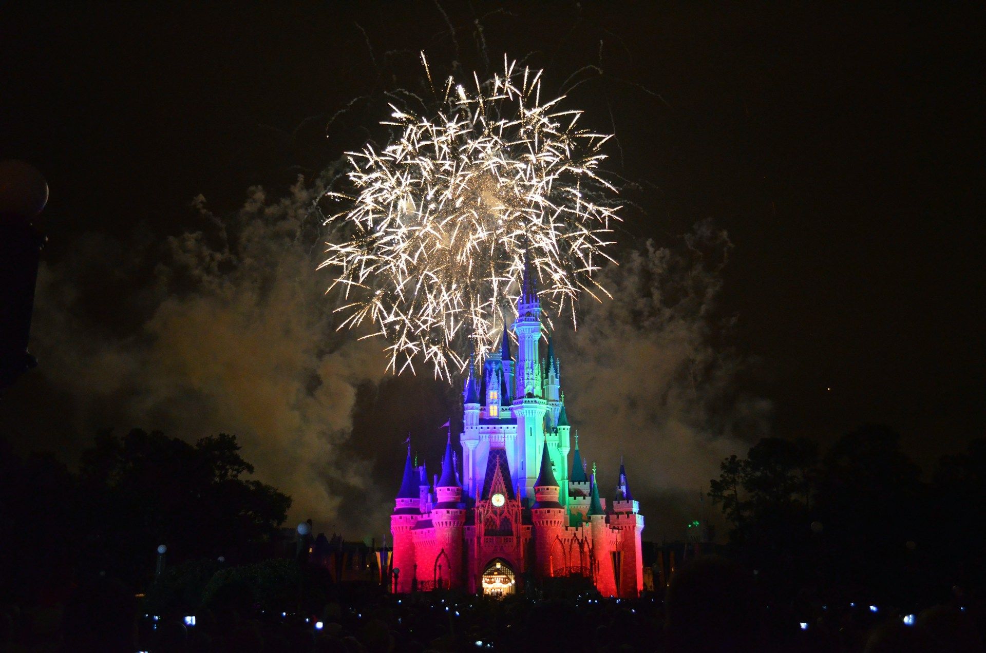 Disney's Magic Kingdom: Expanding Horizons
