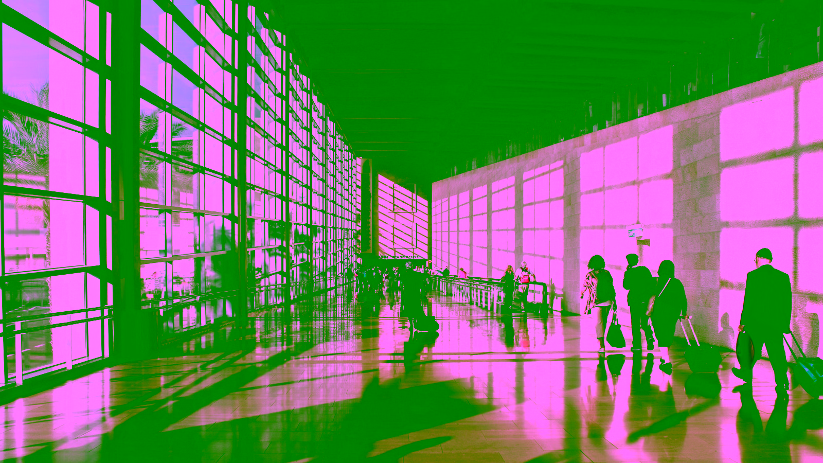 How to Protect Travel Plans During Flight Delays and Disruptions