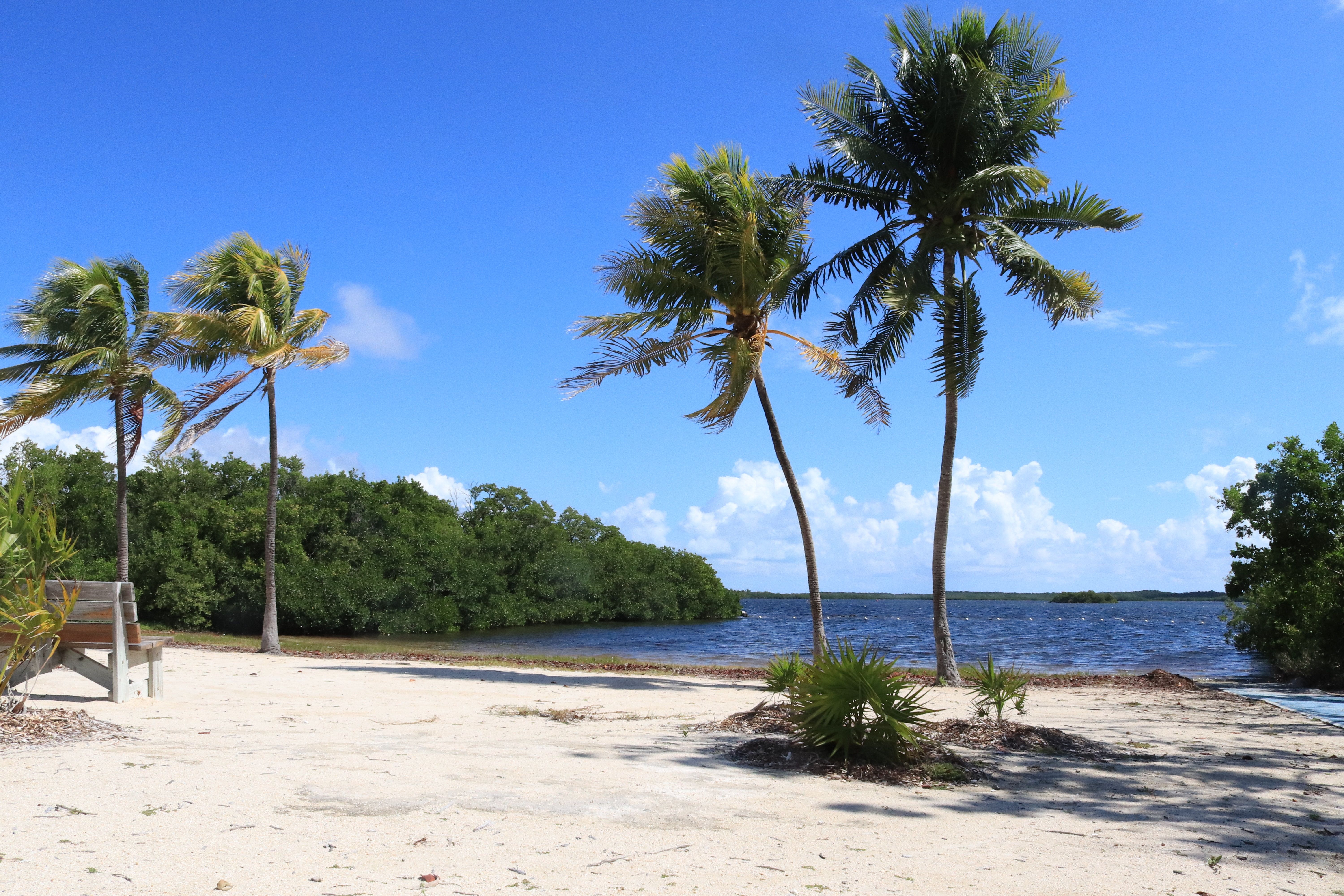 Key Largo Resorts: A Tropical Paradise Awaits