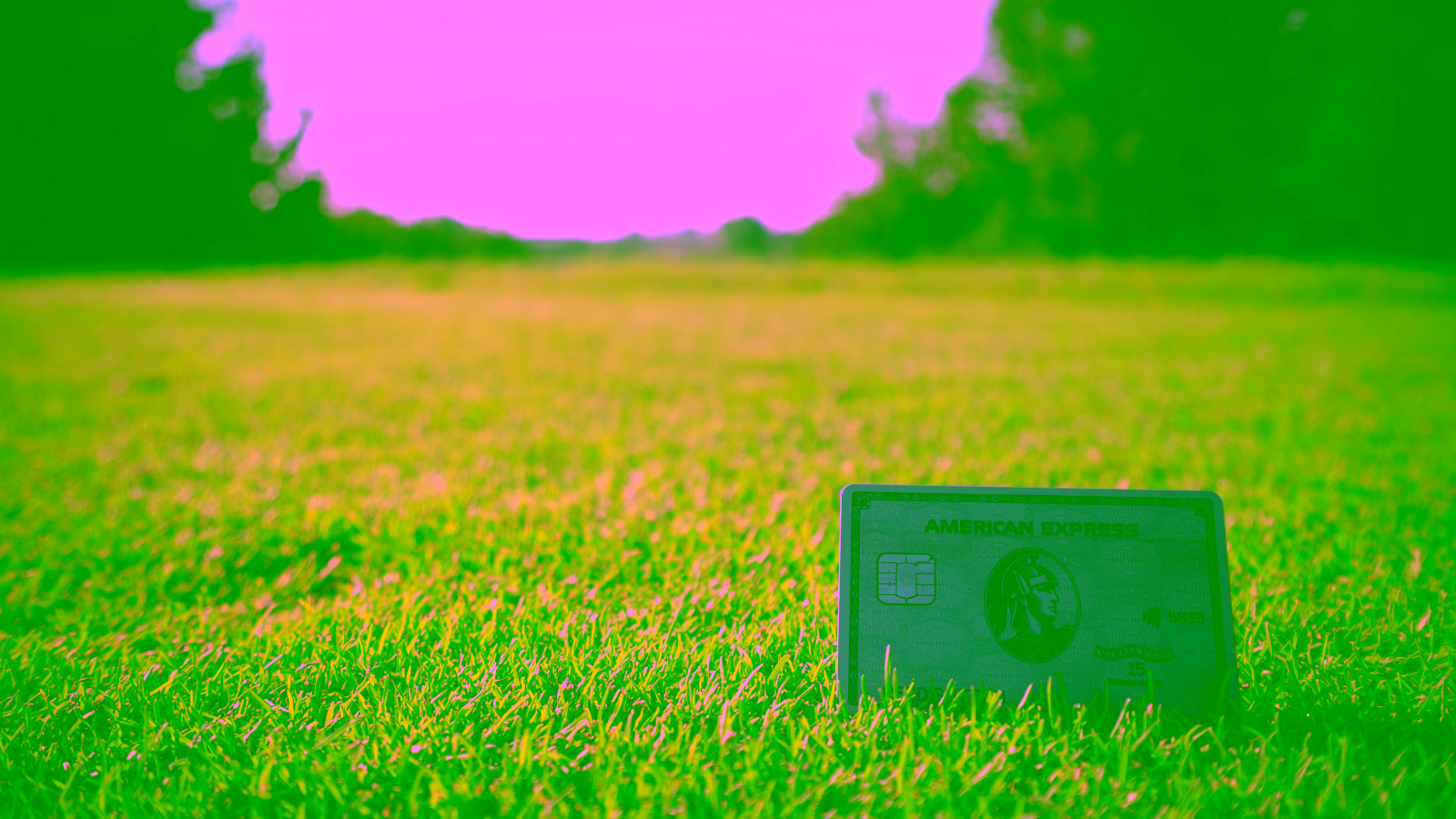 american express grass hero image