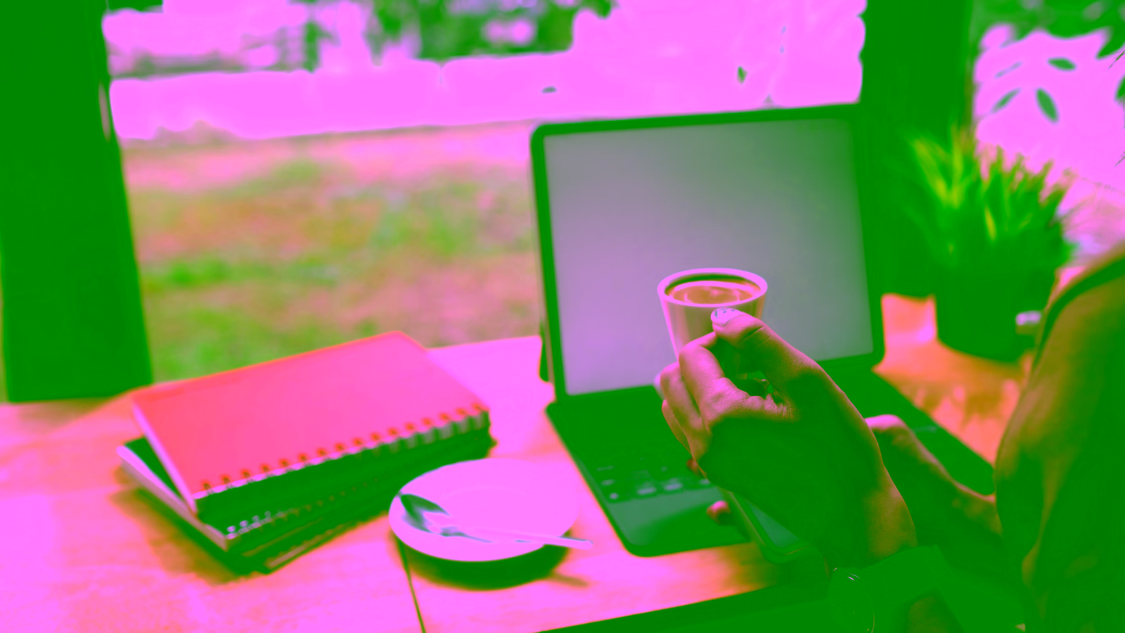 No Annual Fee Credit Card Strategy: Build a Wallet Without Paying Yearly Fees