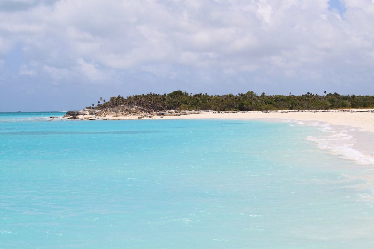 Paradise Awaits: All-Inclusive Luxury at Alexandra Resort