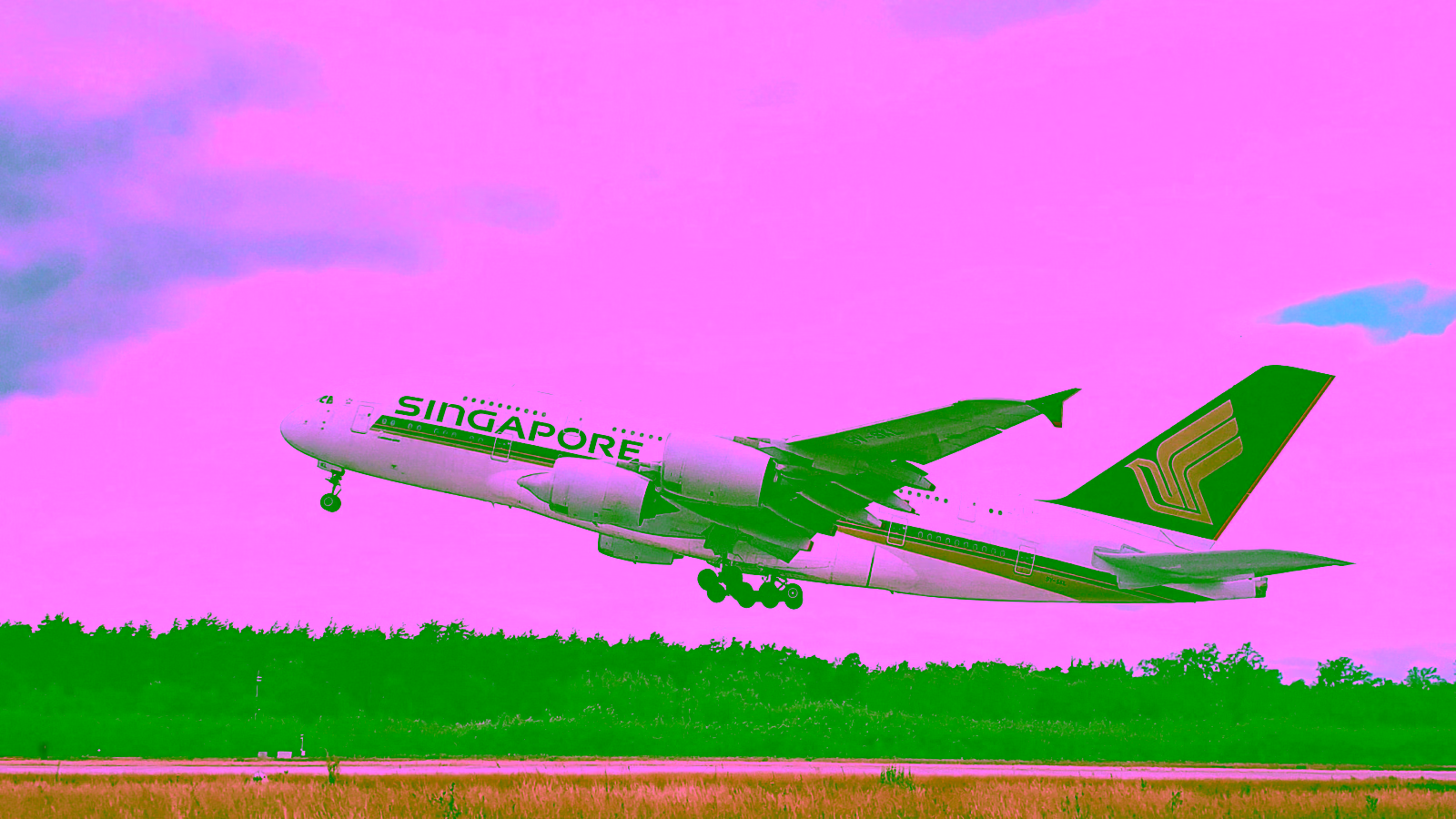 Singapore Airlines Valentine's 2026 Companion Sale: What It Offered and What to Expect Next Year