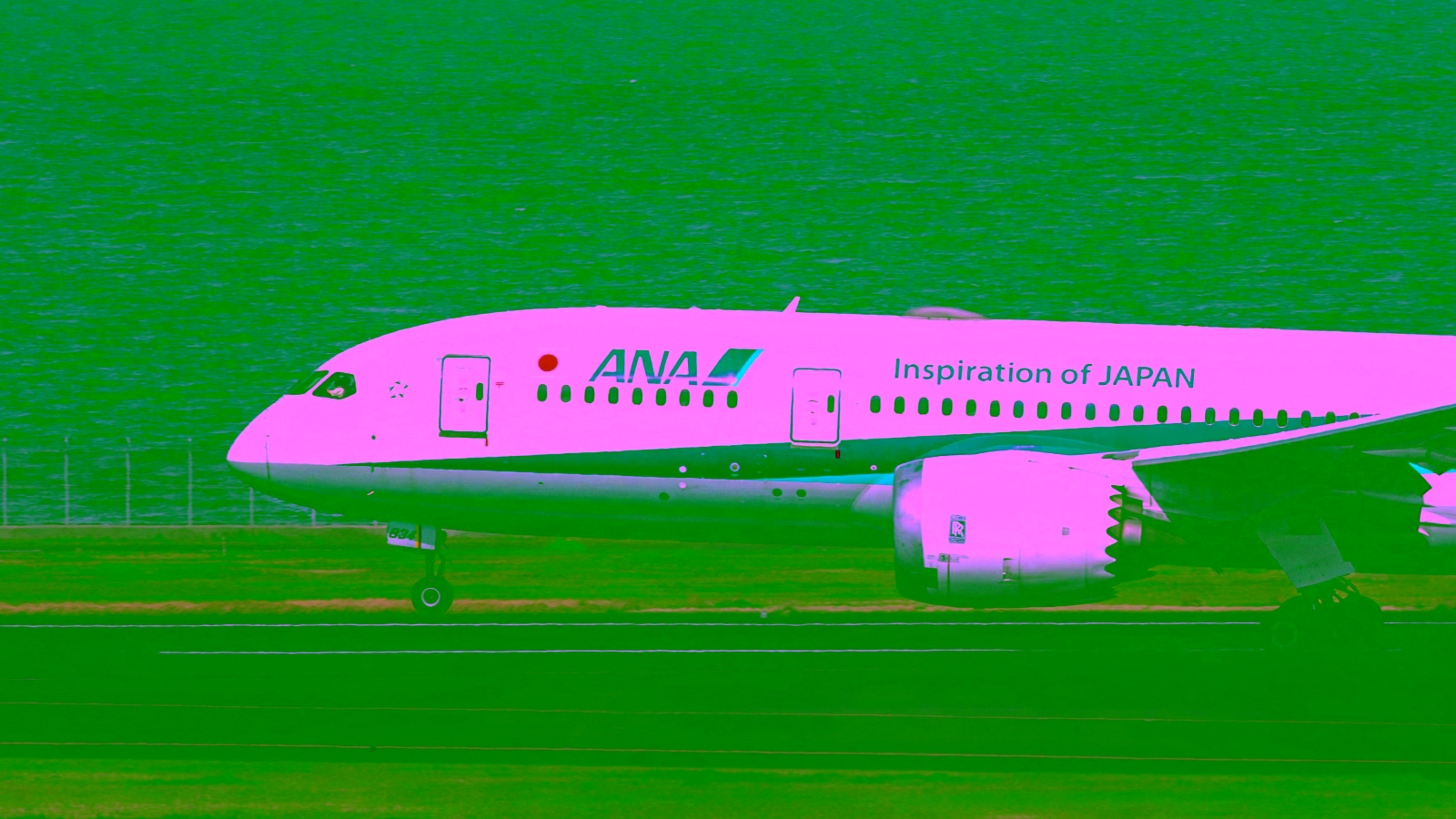 Southwest Airlines Partners with ANA: Complete Guide to Japan Connections