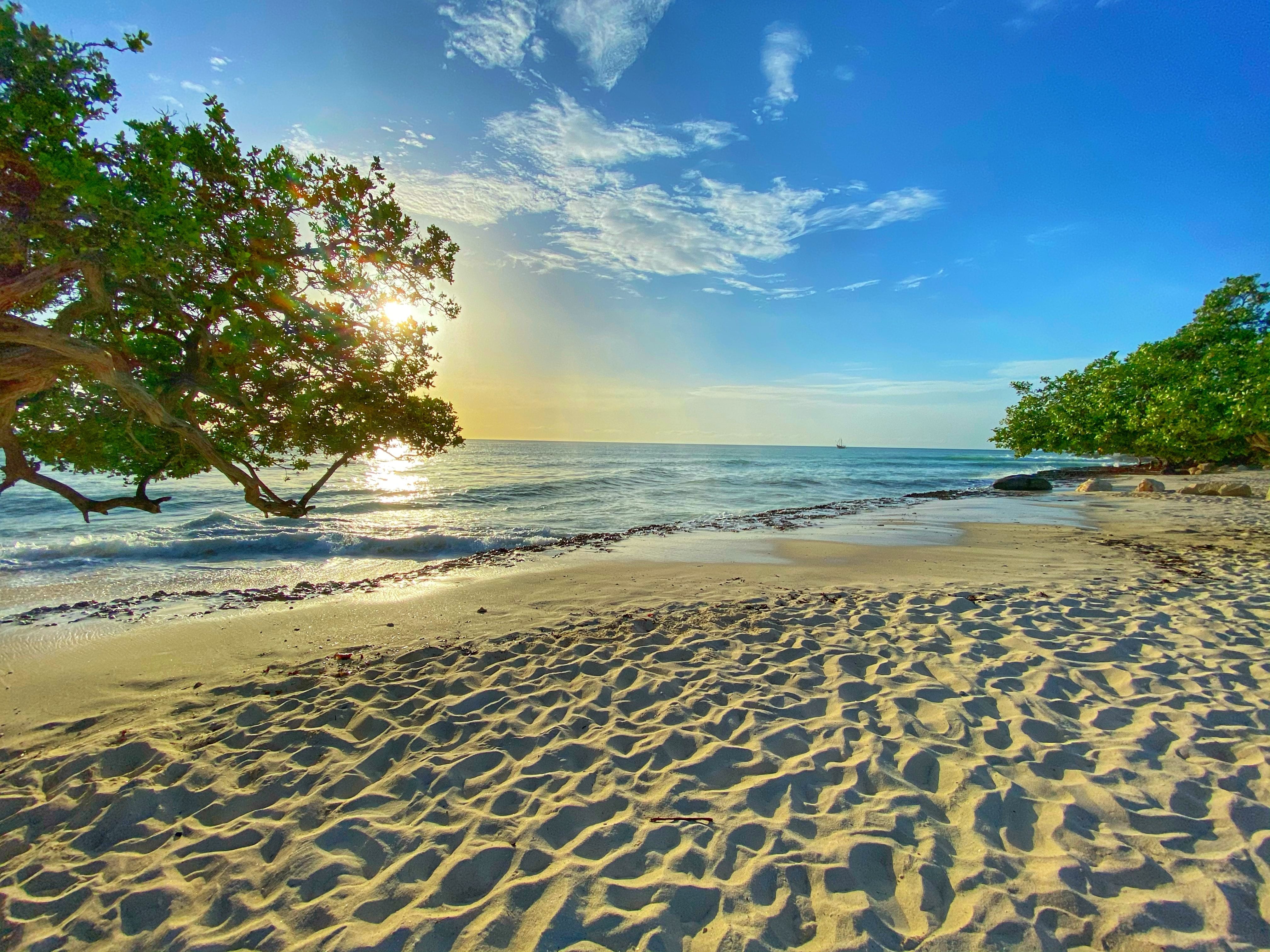 The Magic Of Aruba: All-inclusive Resorts For Travelers