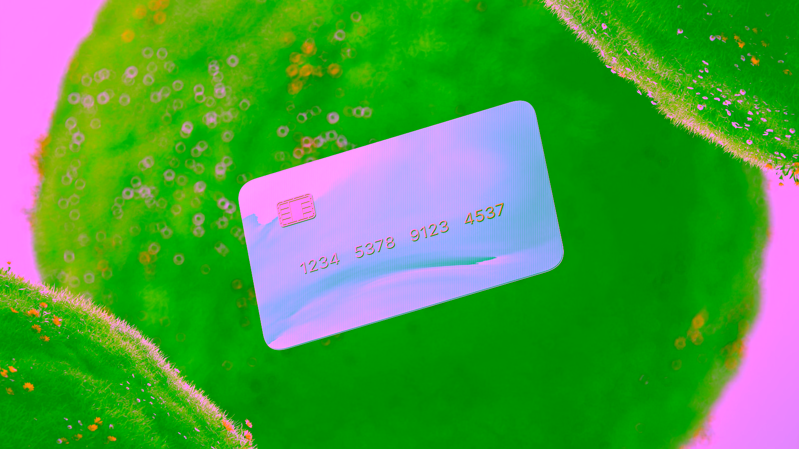 Southwest and Wyndham Debit Cards: Travel Rewards Without a Credit Check